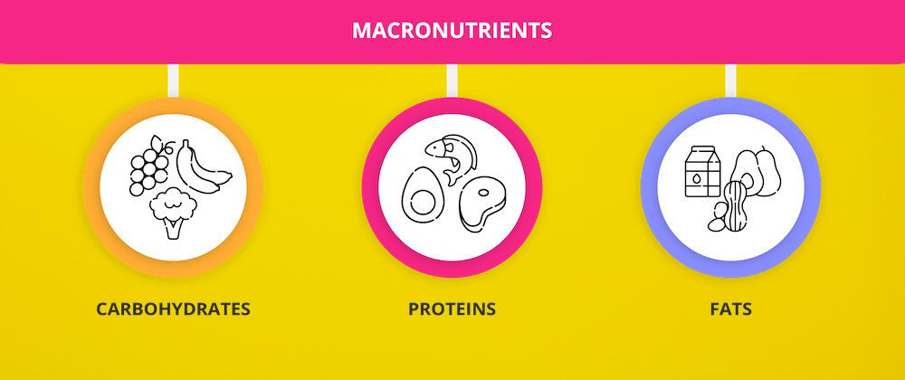 All three macronutrients - carbs, proteins and fats - play key roles for healthful eating. Which one is your favorite?